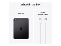 Apple iPad Pro (2024) 11 Zoll 2TB Wi-Fi + 5G Schwarz